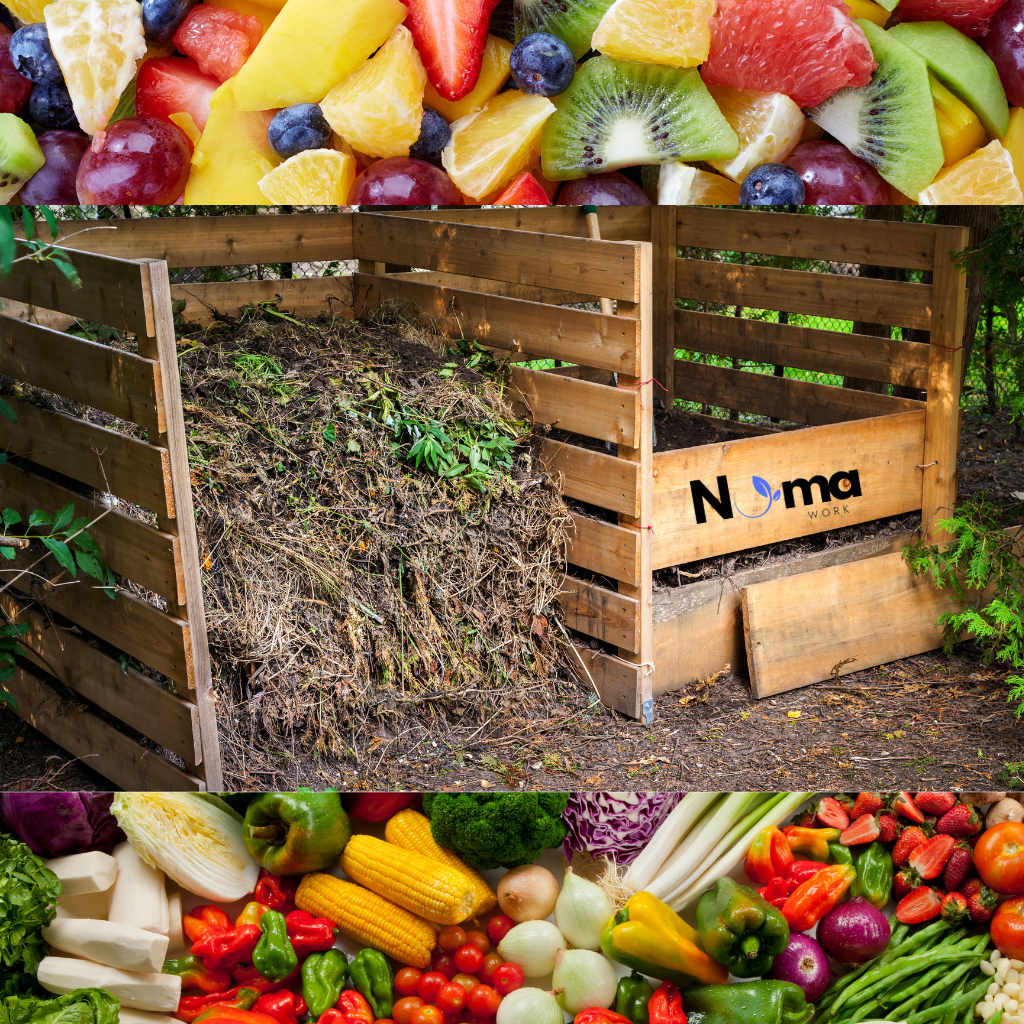 Découvrez nos Choix Alimentaires & Compostages Nomawork